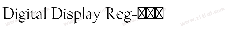 Digital Display Reg字体转换